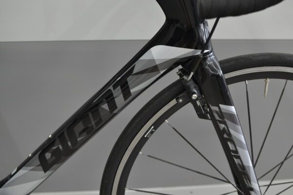 Giant Propel Advanced 0  Gr. L – Bild 3