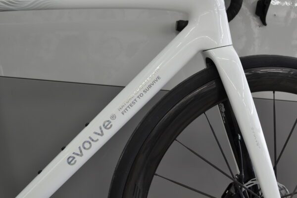 Evolve CIMA Pro AXS – Bild 4