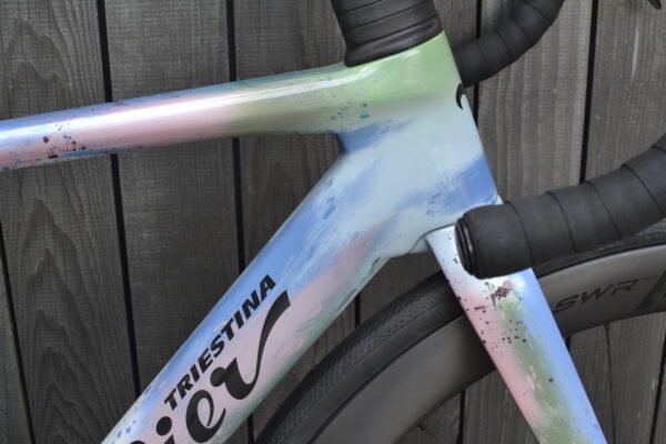 -15% Wilier Filante SL Sonderlackierung – Bild 11