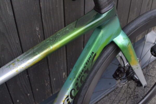 -15% Wilier Filante SL Sonderlackierung – Bild 6