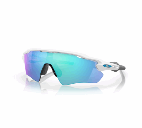 Oakley Radar EV grey